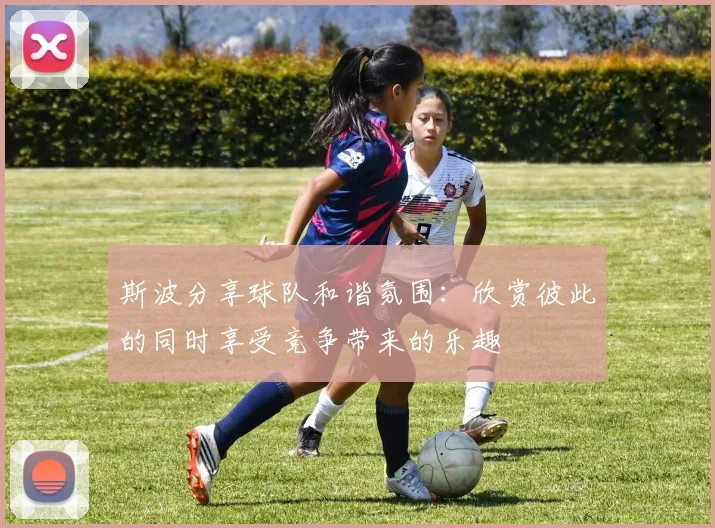 斯波分享球队和谐氛围：欣赏彼此的同时享受竞争带来的乐趣