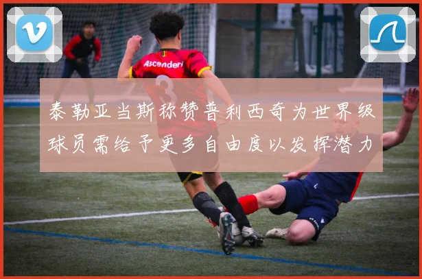 泰勒亚当斯称赞普利西奇为世界级球员需给予更多自由度以发挥潜力